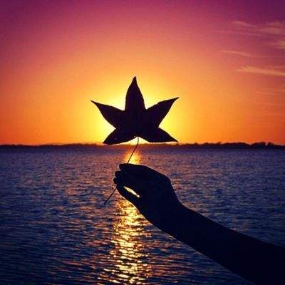 宝威体育手机app下载截图