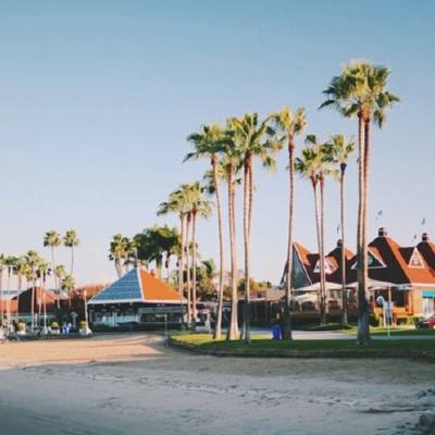 半岛平台半岛官方下载